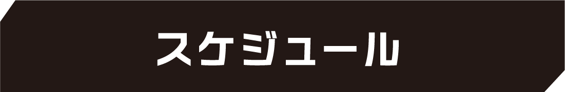 スケジュール